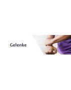 Gelenke stärken – Nahrungsergänzung für gesunde Gelenke