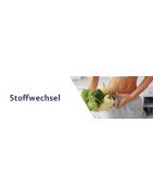 Stoffwechsel anregen – Nahrungsergänzung für den Stoffwechsel