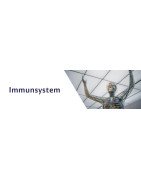 Immune Support – Boost Your Defenses Naturally