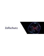 Zellschutz