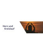 Herz & Kreislauf