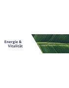 Energie & Vitalität – Nahrungsergänzung für mehr Energie